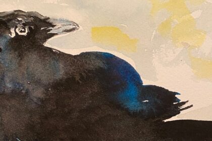 The Joys of Sketching Birds