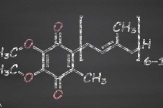 The Many Benefits of CoQ10 and Ubiquinol