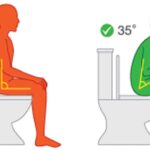 The Perfect Position to Poop