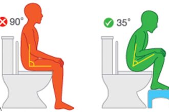 The Perfect Position to Poop