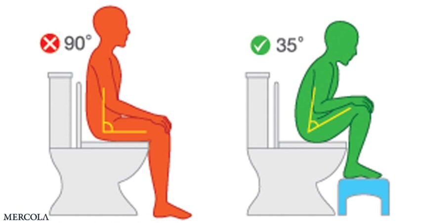 The Perfect Position to Poop