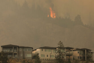 The Wildfires Are Still Burning, but the Economic Toll Is Becoming Clearer