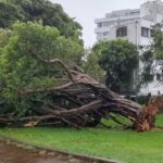 Typhoon Khanun Threatens Japan Again, With South Korea Next