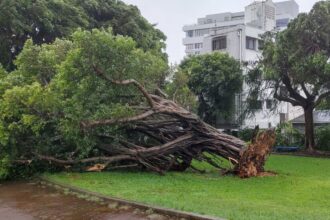 Typhoon Khanun Threatens Japan Again, With South Korea Next