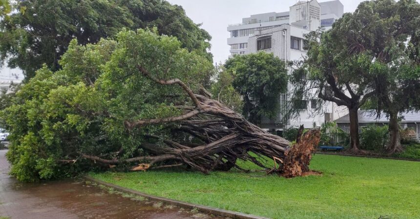 Typhoon Khanun Threatens Japan Again, With South Korea Next