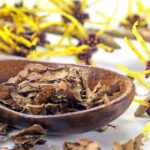 Why Witch Hazel Is Great for Your Skin