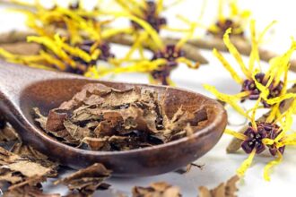 Why Witch Hazel Is Great for Your Skin