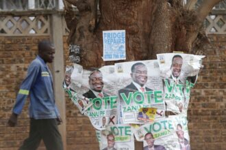 Zimbabwe’s Neighbors Cast Doubt on Elections That Gave Mnangagwa the Win