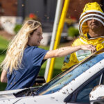 ‘Bee Emergency’: How Beekeepers Got 5 Million Bees Off a Road in Canada