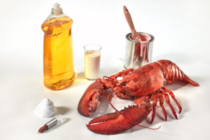 ‘Forever Chemicals’ Are Everywhere. What Are They Doing to Us?