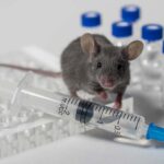 10 Mice Used to Test the Newest Pfizer COVID Jab