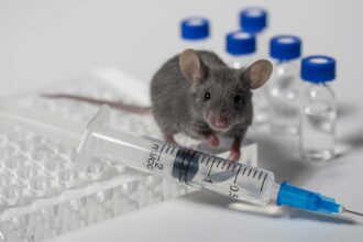 10 Mice Used to Test the Newest Pfizer COVID Jab