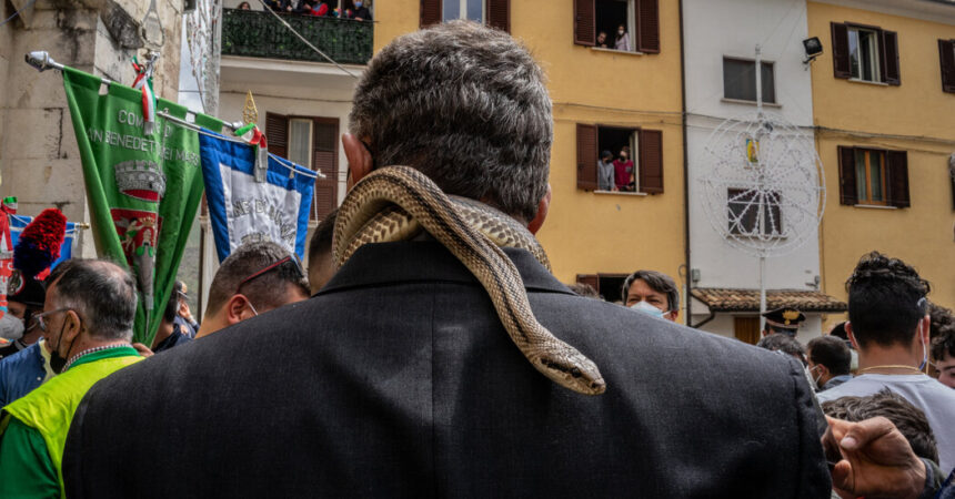 A Statue Draped With Snakes? In Italy, It Happens Every Year.