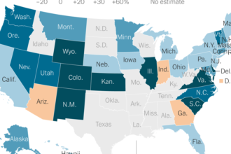 Abortions Rose in the U.S. in 2023, Data Shows. See the Changes by State.