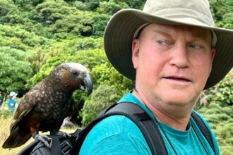 American expat in New Zealand shares surprise $20K moving cost