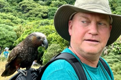 American expat in New Zealand shares surprise $20K moving cost