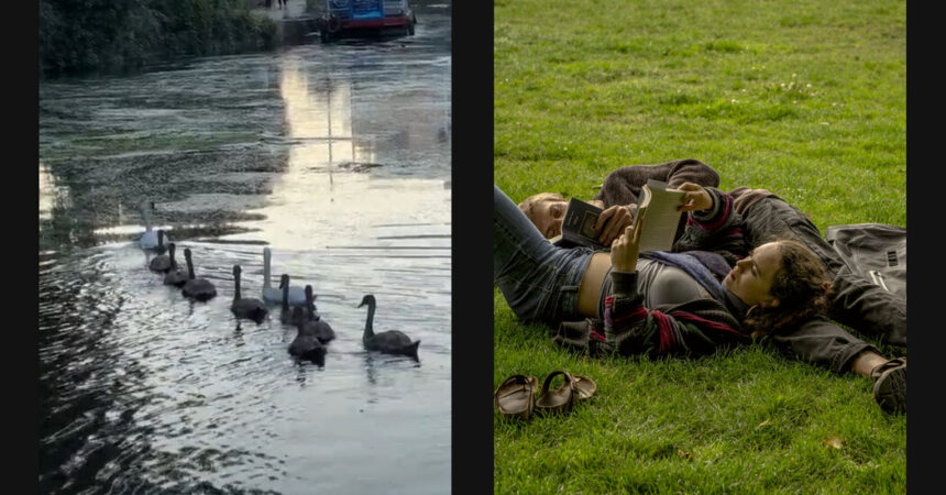 As Cost of Living Rises in London, Public Parks Become a Haven