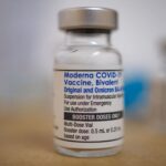 CDC recommends updated Covid vaccines for everyone ages 6 months and up