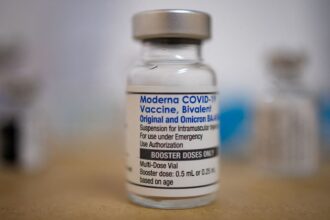 CDC recommends updated Covid vaccines for everyone ages 6 months and up