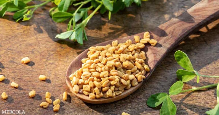 Can Fenugreek Boost Testosterone?