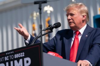 Ex-ambassador says dark horse may beat Trump