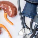 How Your Kidneys Influence Blood Pressure