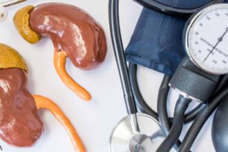 How Your Kidneys Influence Blood Pressure