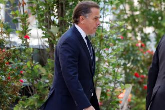 Hunter Biden not seeking special treatment in gun case