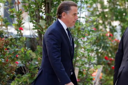 Hunter Biden not seeking special treatment in gun case