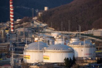 India importing Russian oil is win-win for global economy, says ONGC