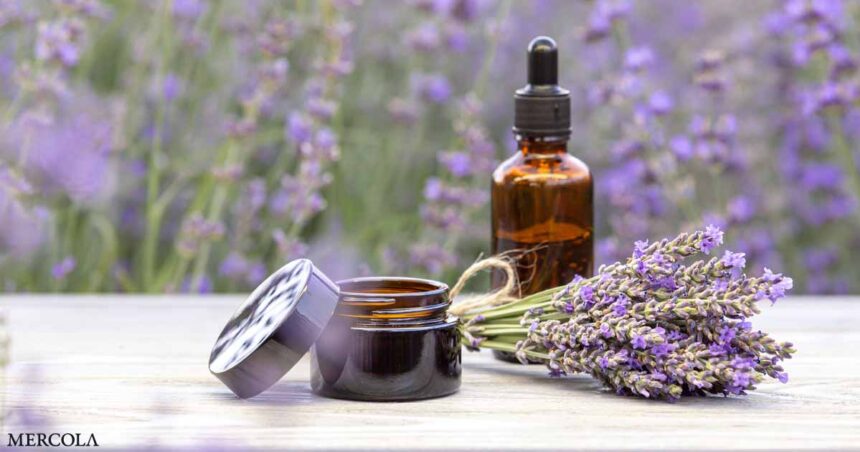 Lavender Oil Vs. Hair Growth Pharmaceutical: Which One Won?