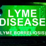 Lumbrokinase for Lyme?