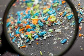 Microplastics May Be Harming Your Body and Brain