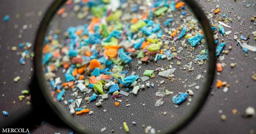 Microplastics May Be Harming Your Body and Brain