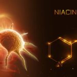 Niacinamide Enhances Natural Killer Cells to Beat Carcinomas