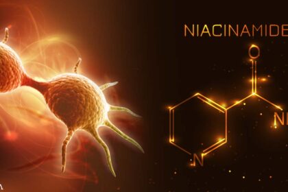 Niacinamide Enhances Natural Killer Cells to Beat Carcinomas