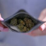 Online Marijuana Shops Make It Easy for Minors to Buy, Study Finds