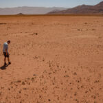 Satellites Show Mysterious Fairy Circles in More Parts of the World