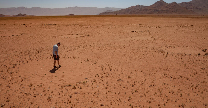 Satellites Show Mysterious Fairy Circles in More Parts of the World