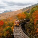 Things to do this fall with Tripadvisor