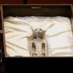 Ufologist Claims to Show Mummified Alien Specimens to Mexico's Congress