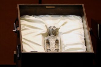 Ufologist Claims to Show Mummified Alien Specimens to Mexico's Congress