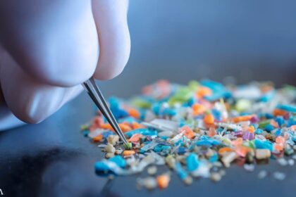 What Are Plastic Fragments Doing in Human Hearts?