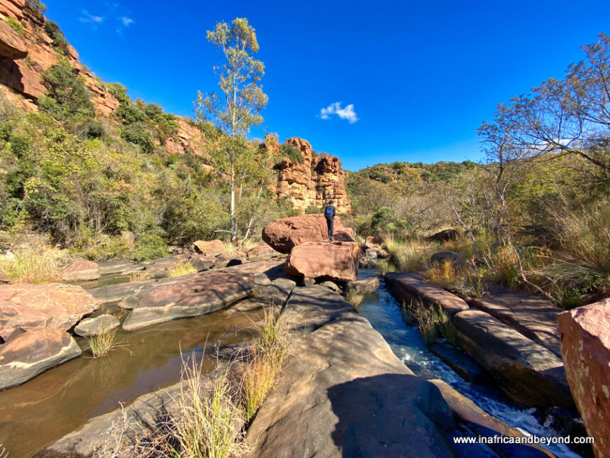 13 Hiking Essentials You Should Carry On A Day Hike