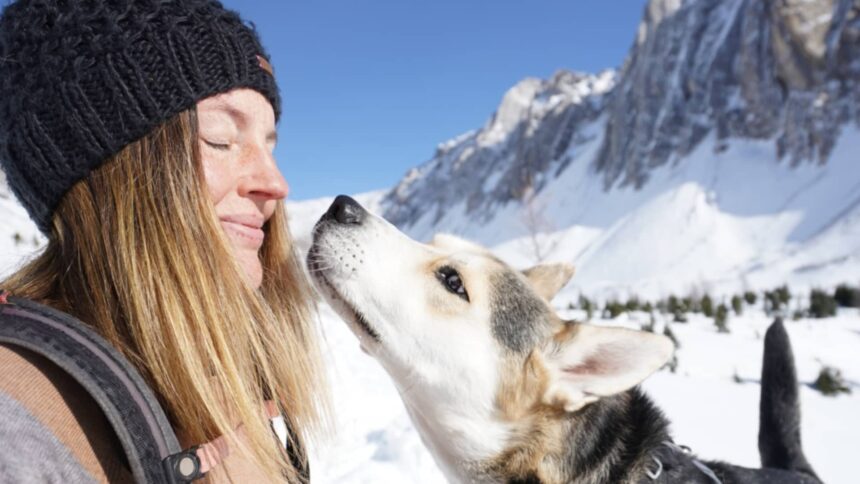 A female photographer found a way to help hundreds of dogs get adopted