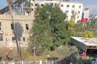 After Gaza Hospital Explosion, Bloody Blankets and ‘Lots of Bodies’