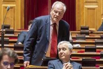 French senators Christian Cambon (top) and Roger Karoutchi.