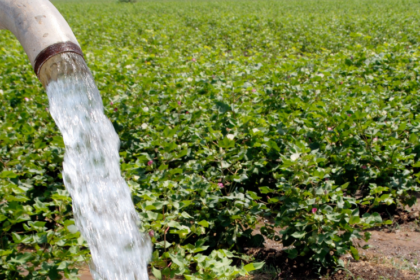 Digital Tool Developed to Empower Malawian Farmers - IT News Africa
