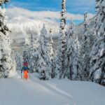 Ski touring in a winter wonderland