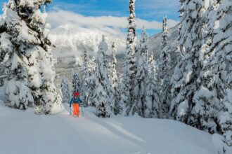 Ski touring in a winter wonderland